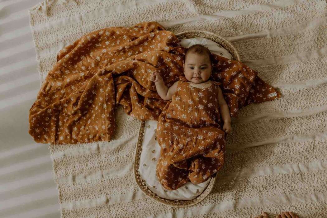 Lange xxl vegetal nut 2