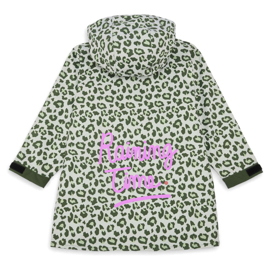 HD 251003 hellohossy1866 1b