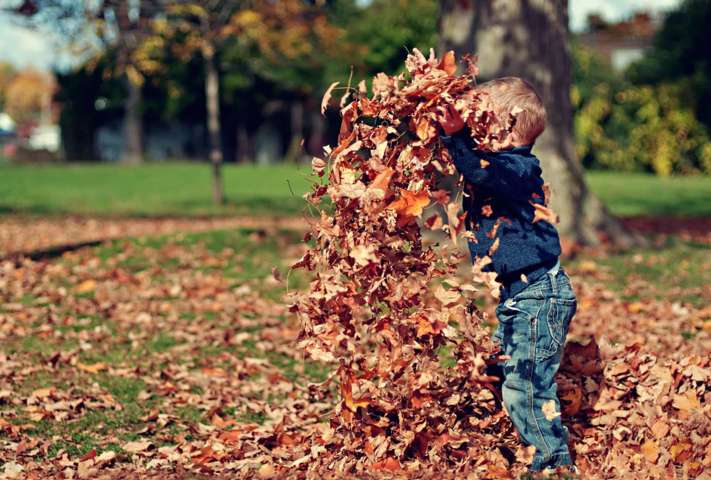 Herfst