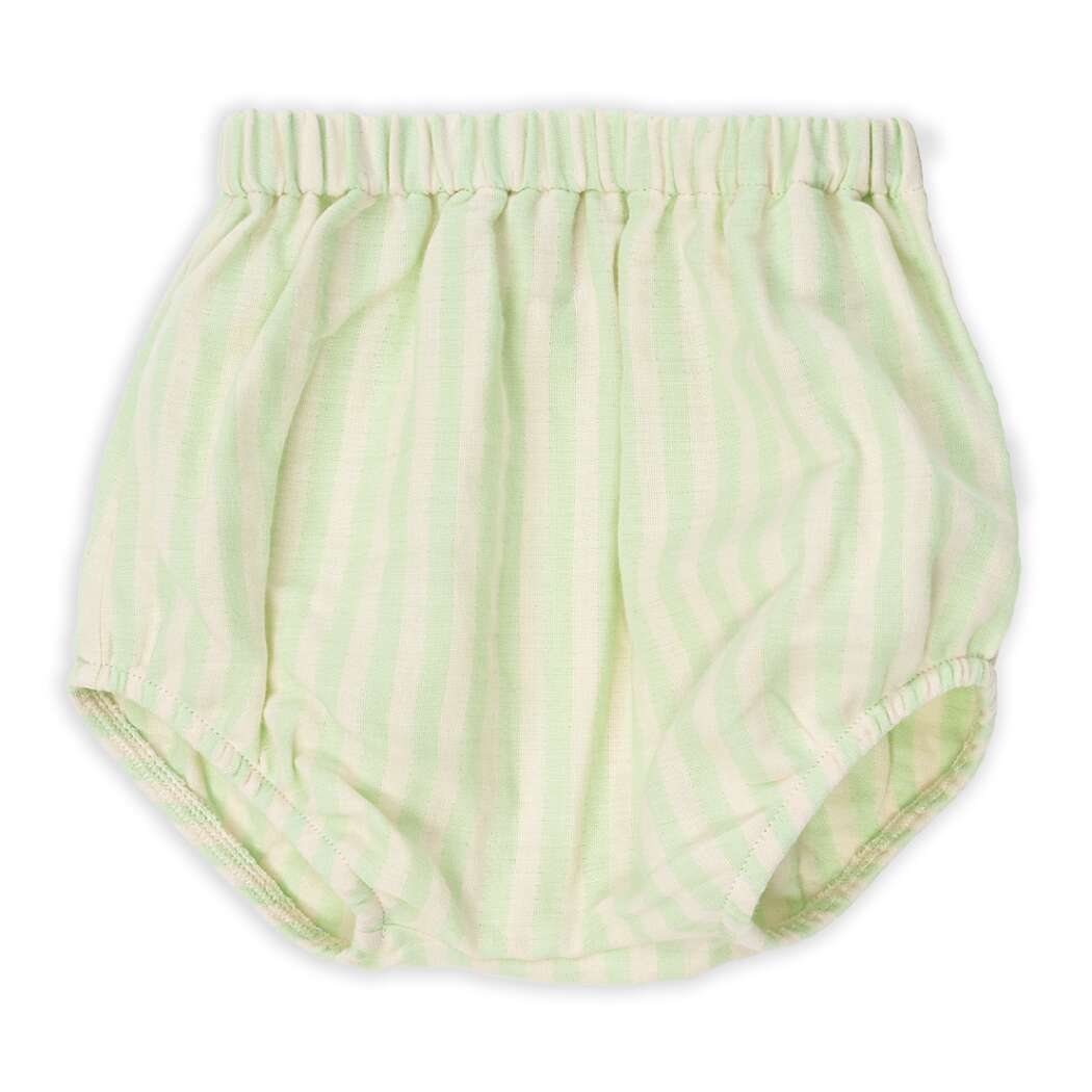 D25138 Basil Stripe